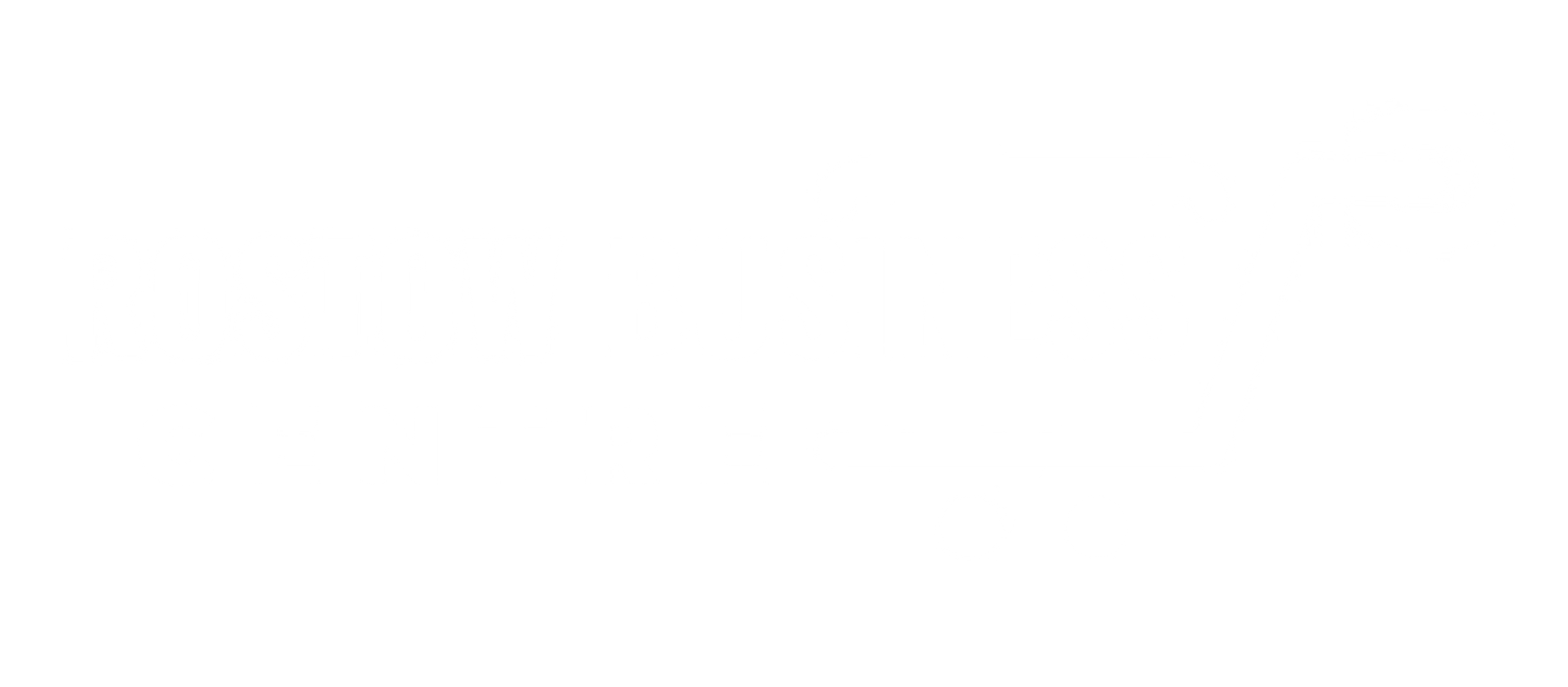 ROSTOW BUSINESS